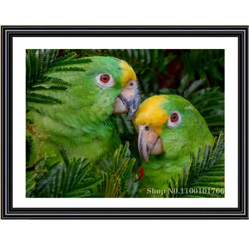 5D Plné Námestie Kolo Diamond Maľovanie Papagáj Pár Živice Mozaiky Vtákov, Zvierat Diamond Výšivky Domáce Dekorácie