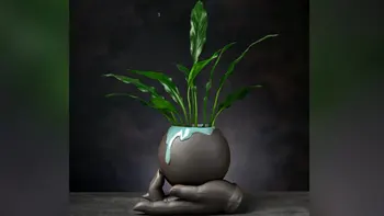 Kreatívne Keramický Kvetináč: Perfektné Hydroponických Rastlín Kontajner pre HomeLooking pre jedinečný a štýlový spôsob, ako zobraziť